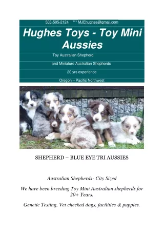 503 505 2124 mjehughes@gmail com hughes toys