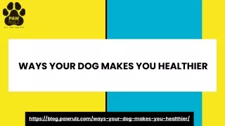 WAYS YOUR DOG MAKES YOU HEALTHIER