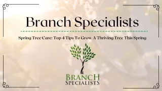 Spring Tree Care Top 4 Tips To Grow A Thriving Tree This Spring - Branch Specialists New Jersey