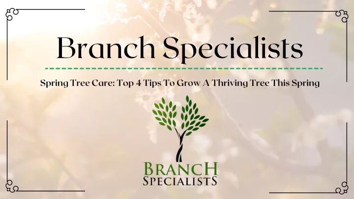 branch specialists