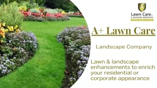 Best Lawncare Companies in Deforest WI | A  Lawn Care