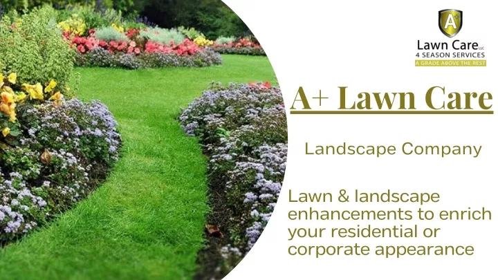 a lawn care