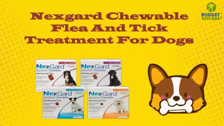 nexgard chewable flea and tick treatment for dogs