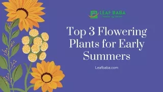 Top 3 Flowering Plants for Early Summers