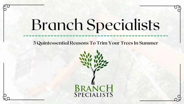 branch specialists