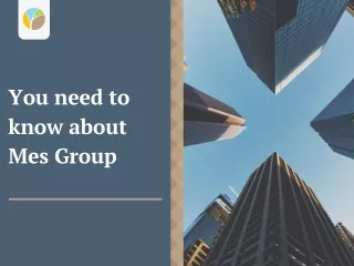 Here's What You Should Know about Mes Group