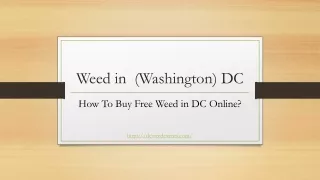 Now Buy The Weed in DC Online Safely 2022