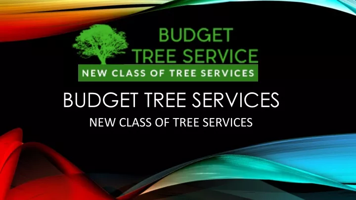 budget tree services new class of tree services