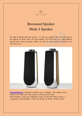 Beosound Speaker