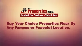buy buy your your choice any any famous famous or