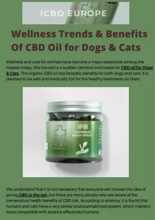 Wellness Trends & Benefits Of CBD Oil for Dogs & Cats