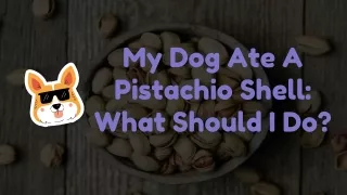 My Dog Ate A Pistachio Shell