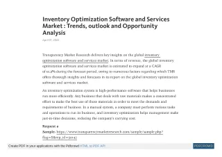 inventory optimization software and services