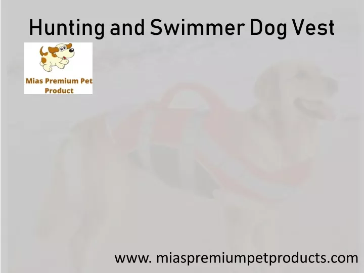 hunting and swimmer dog vest
