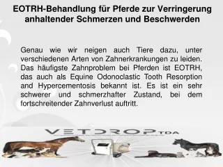 EOTRH-Behandlung für Pferde zur Verringerung anhaltender Schmerzen und Beschwerden
