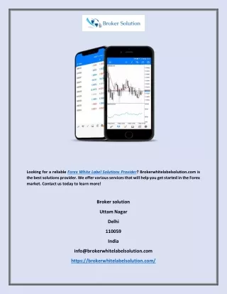 looking for a reliable forex white label