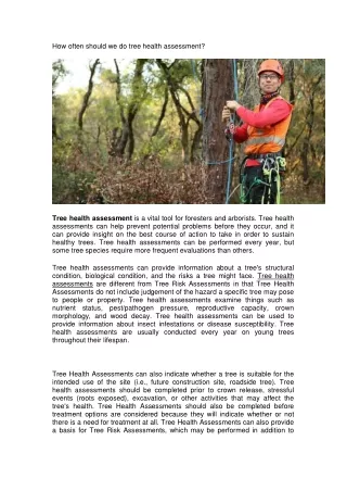 how often should we do tree health assessment