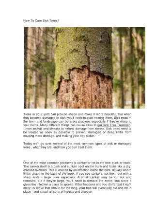 how to cure sick trees