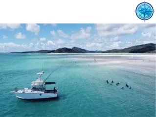 Fishing Charters Airlie Beach