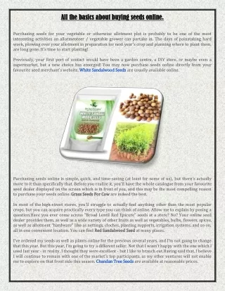 All the basics about buying seeds online.