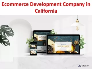 ecommerce development company in california