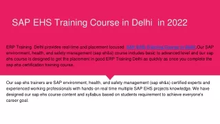 SAP EHS Training Course in Delhi