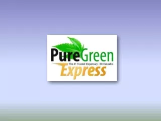 Buy the Best CBD Edibles in Canada Online