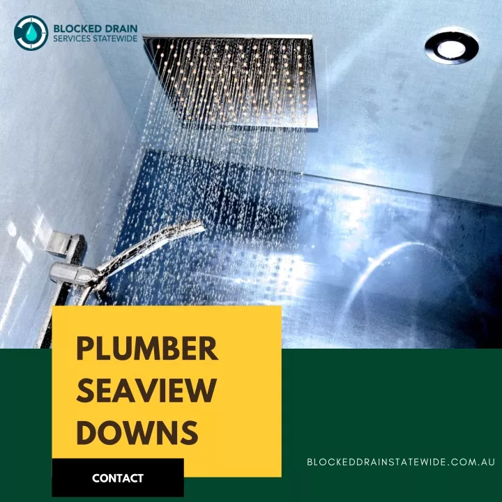 plumber seaview downs