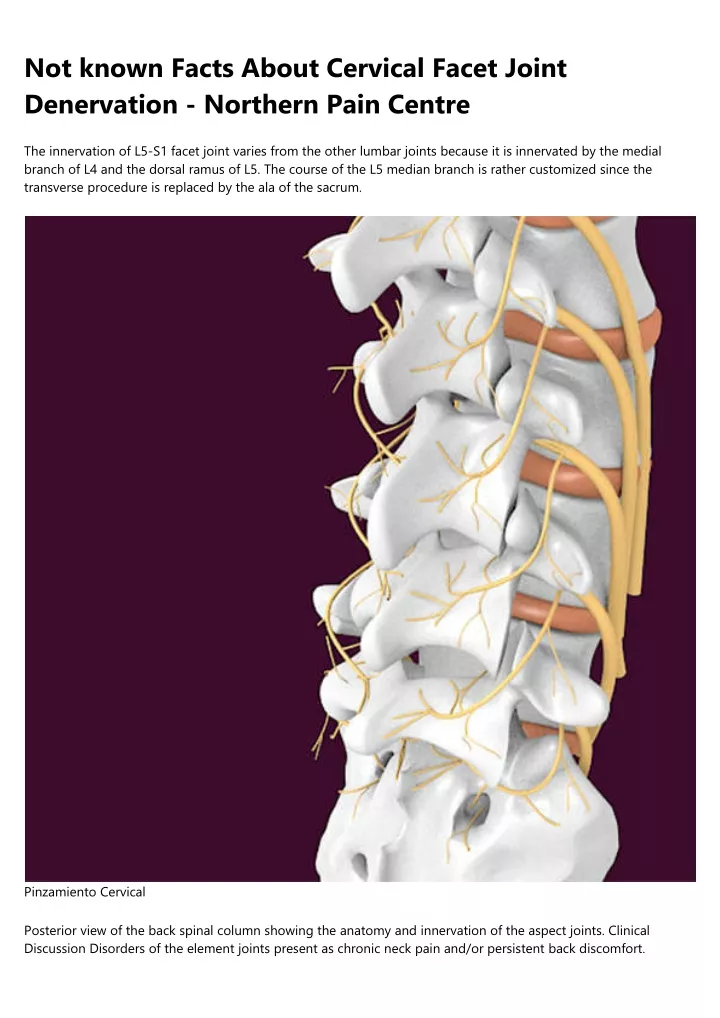 not known facts about cervical facet joint