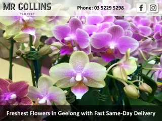 Freshest Flowers in Geelong with Fast Same-Day Delivery
