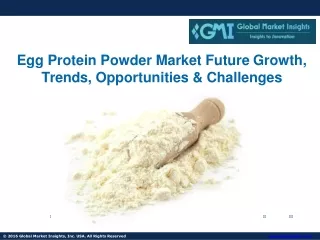 Egg Protein Powder Market Size, Future Trends, Gross Margin, Opportunity Assessm