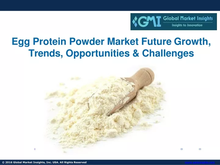 egg protein powder market future growth trends opportunities challenges