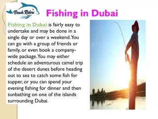 Fishing boat Dubai