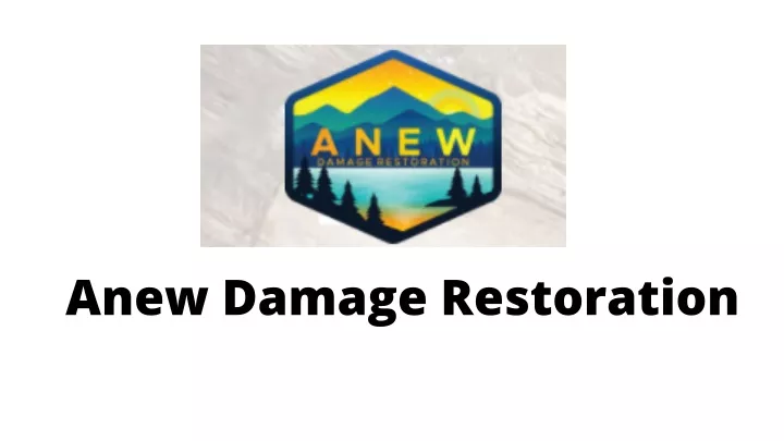 anew damage restoration