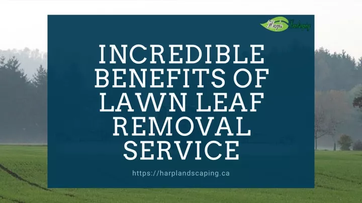 incredible benefits of lawn leaf removal service