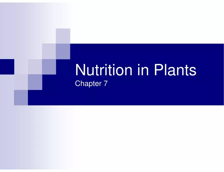 nutrition in plants chapter 7