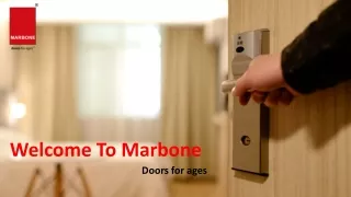 Designer Flush Door