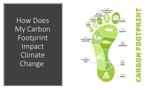 How Does My Carbon Footprint Impact Climate Change