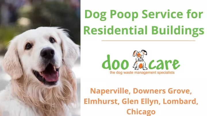 dog poop service for residential buildings