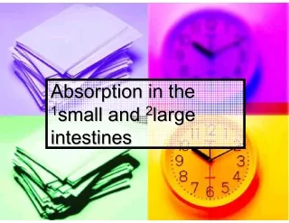 absorption in the absorption in the 1 1 small