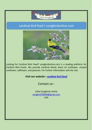 cardinal bird feed | songbirdonline.com