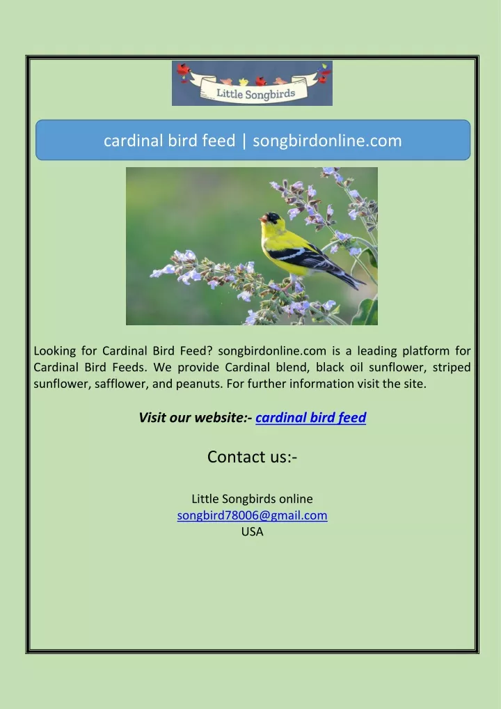 cardinal bird feed songbirdonline com