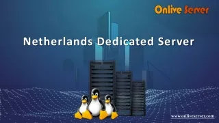 Boost your website with Netherlands Dedicated Server
