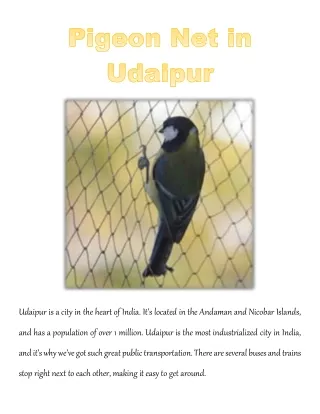 udaipur is a city in the heart of india