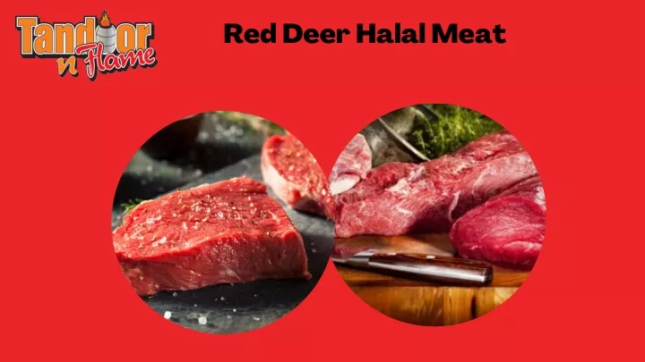 red deer halal meat