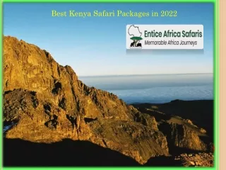 Best Kenya Safari Packages in 2022