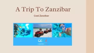 a trip to zanzibar cool zanzibar