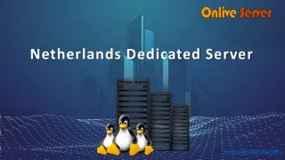 Boost your website with Netherlands Dedicated server from Onlive Server