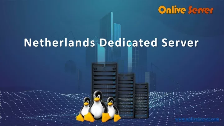 netherlands dedicated server