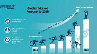 Biochar Market revenue to cross US$ 368.85 million by 2028: The Insight Partners